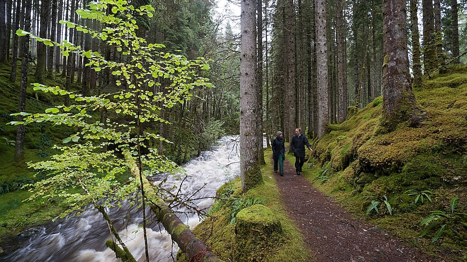 Un homme et une femme marchent le long de rapides dans une forêt