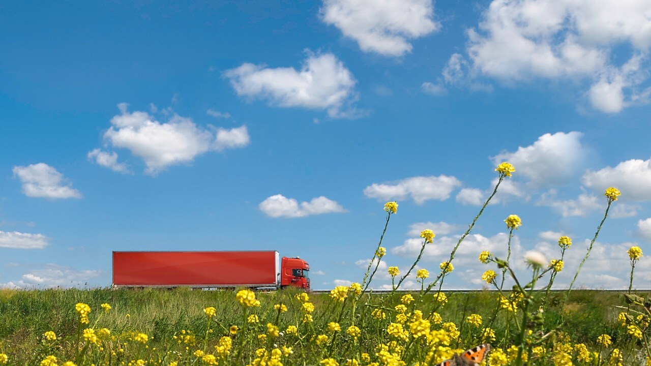 Een rode vrachtwagen in een bloemenveld met blauwe lucht met wolken