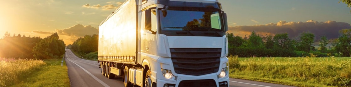 Een witte vrachtwagen op een provinciale weg