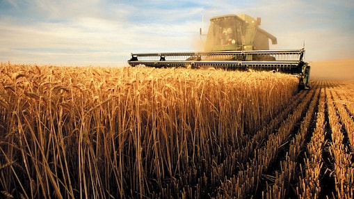 Une moissonneuse en action dans le champ