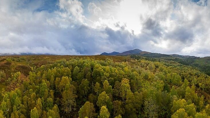 Nouvelles énergies pour professionnels