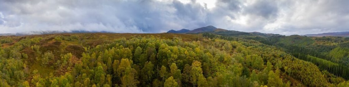 Nouvelles énergies pour professionnels