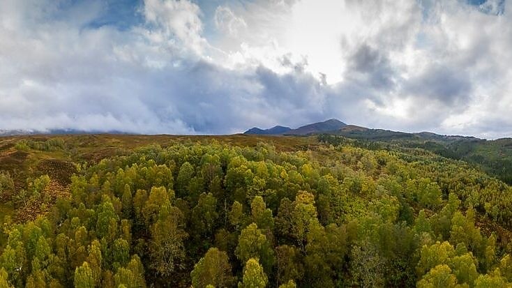 Nouvelle Energies pour Professionnels