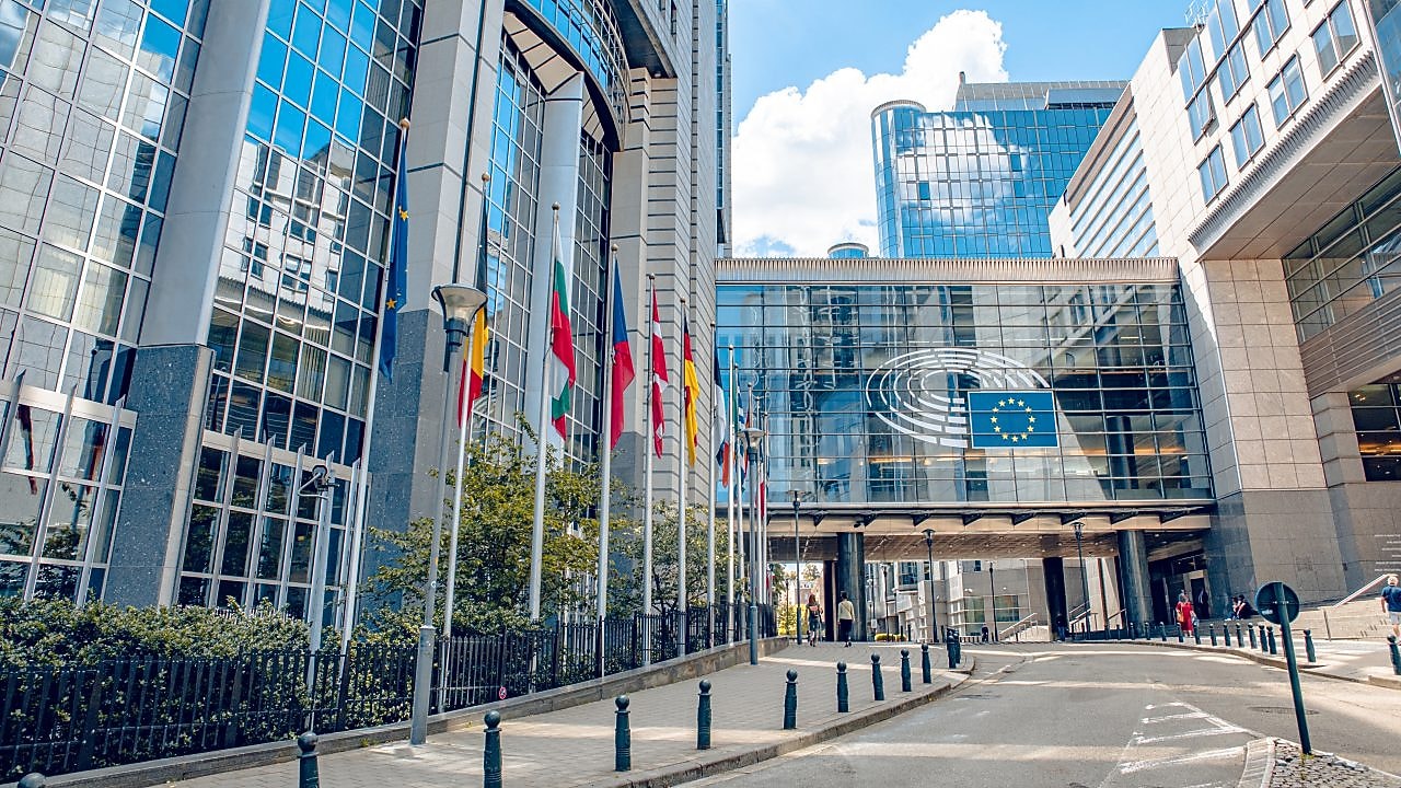 international organization