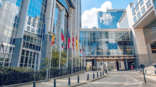 international organization