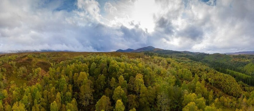 Nouvelles énergies pour professionnels