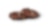 Chocolate Cookie