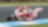 Shell's technical partnership with Ducati
