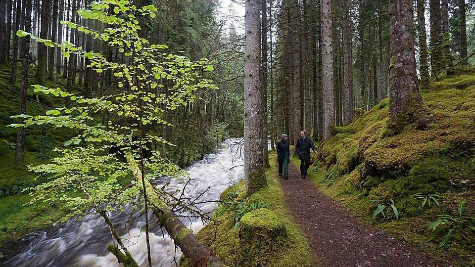 Een man en vrouw lopen langs een waterval in een bos