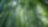 Jungle with bamboo grove