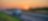 Trucks on a highway at sunset