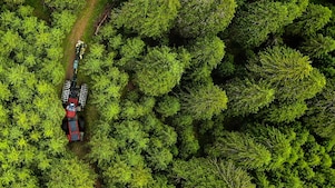 Een traktor in een boslandschap