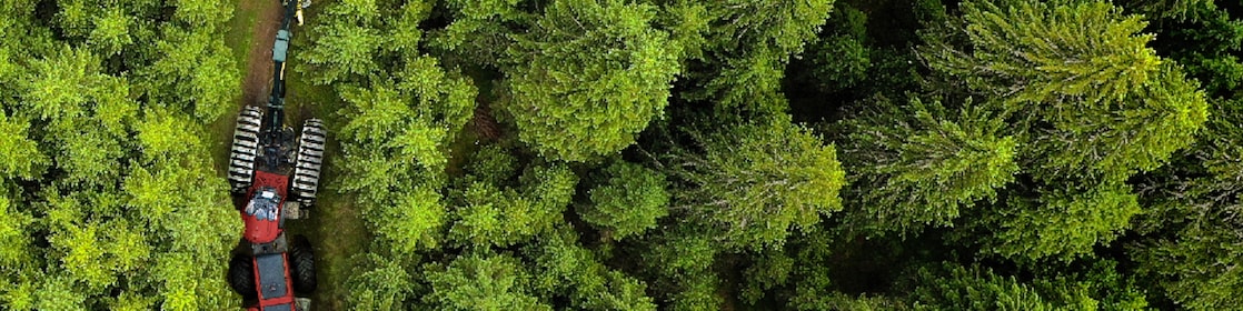 Een traktor in een boslandschap