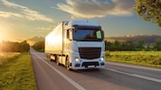 Witte vrachtwagen op de weg