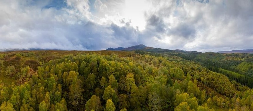 nouvelles energies pour professionnels