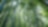 Jungle with bamboo grove