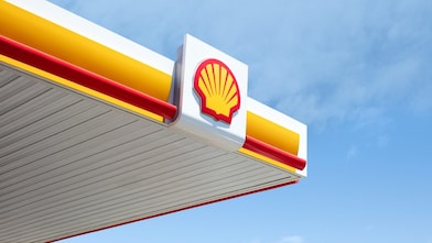 Shell pecten on a sky background