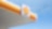 Shell pecten on a sky background