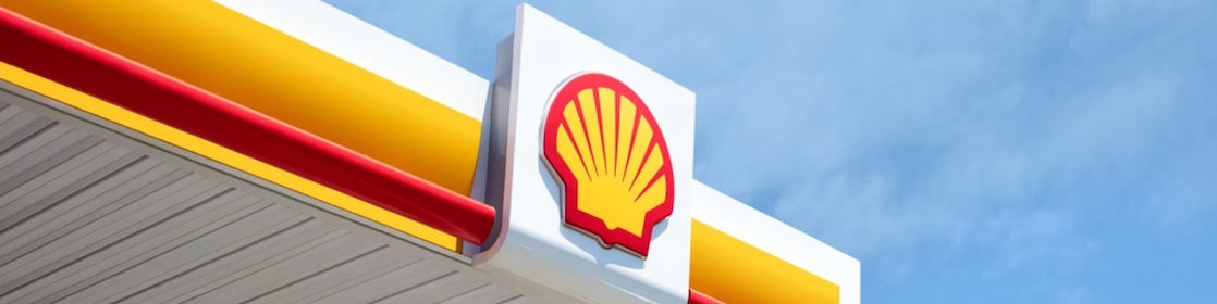 Shell pecten on a sky background