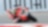 Ducati-coureur op superbike in het superbike-wereldkampioenschap
