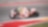 Ducati-coureur in de MotoGP
