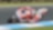 Ducati-coureur op superbike in het superbike-wereldkampioenschap