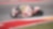 Ducati-coureur in de MotoGP